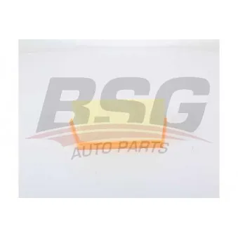 Filtre à air BSG BSG 15-135-024