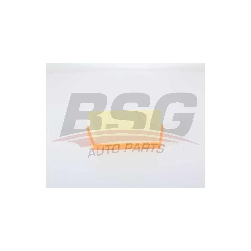Filtre à air BSG BSG 15-135-024