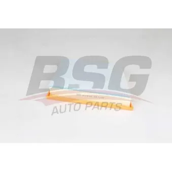 Filtre à air BSG BSG 15-135-025