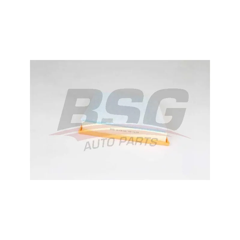 Filtre à air BSG BSG 15-135-025
