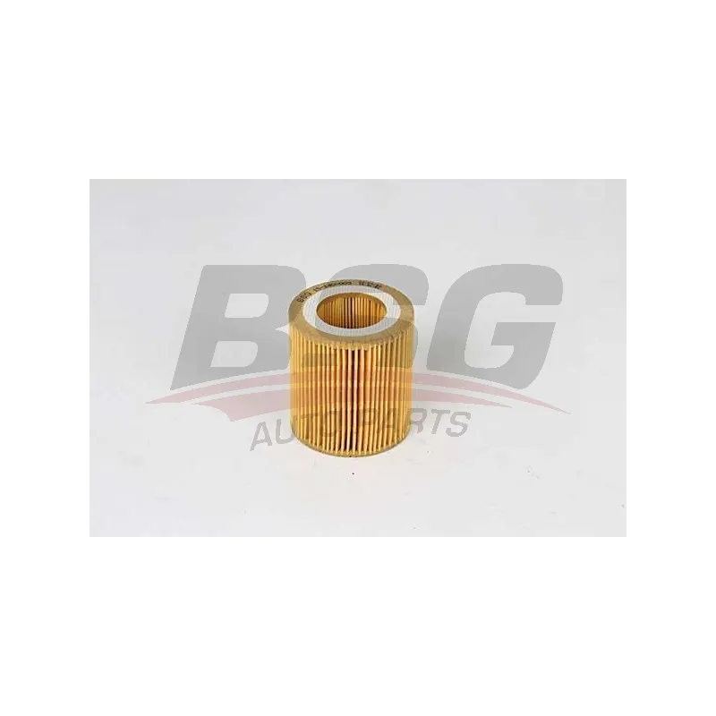 Filtre à huile BSG BSG 15-140-003