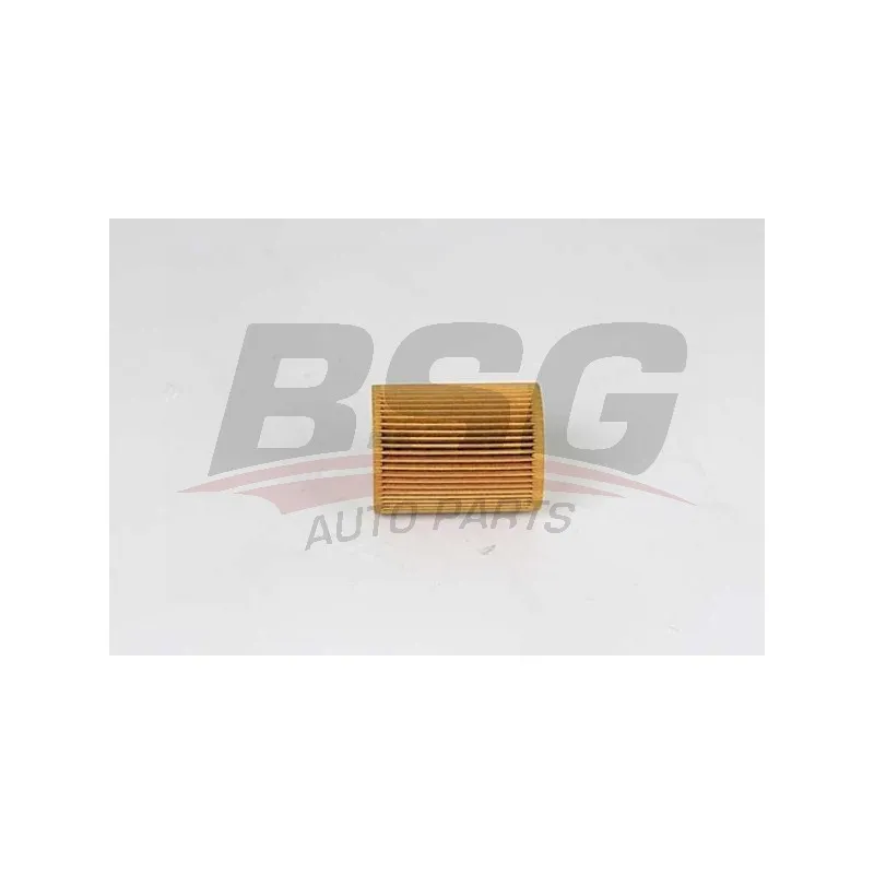 Filtre à huile BSG BSG 15-140-004