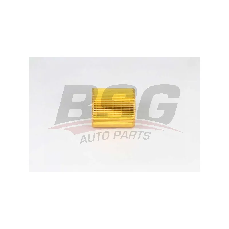 Filtre à huile BSG BSG 15-140-006