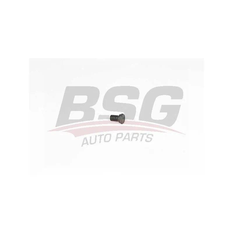 Vis-bouchon, carter d'huile BSG BSG 15-230-001