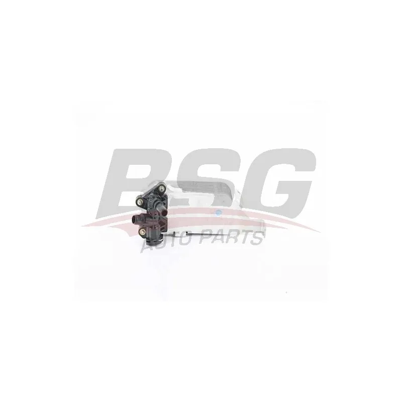 Radiateur d'huile de boîte automatique BSG BSG 15-506-043