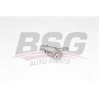 Thermostat, liquide de refroidissement BSG
