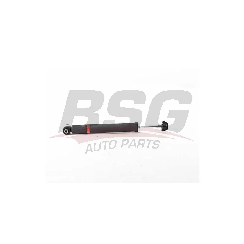 Jeu de 2 amortisseurs arrière BSG BSG 25-300-004