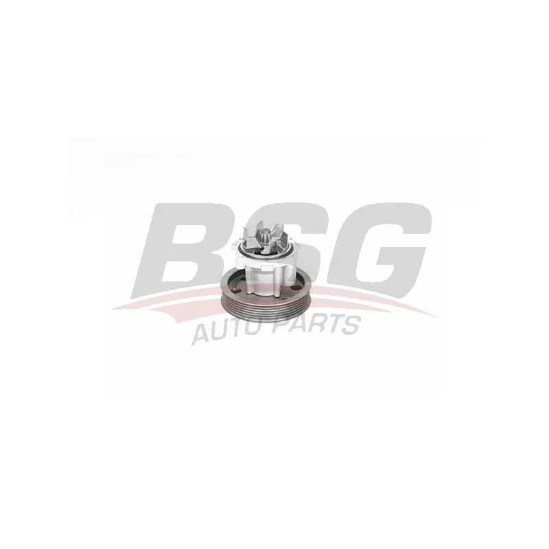 Pompe à eau BSG BSG 25-500-001