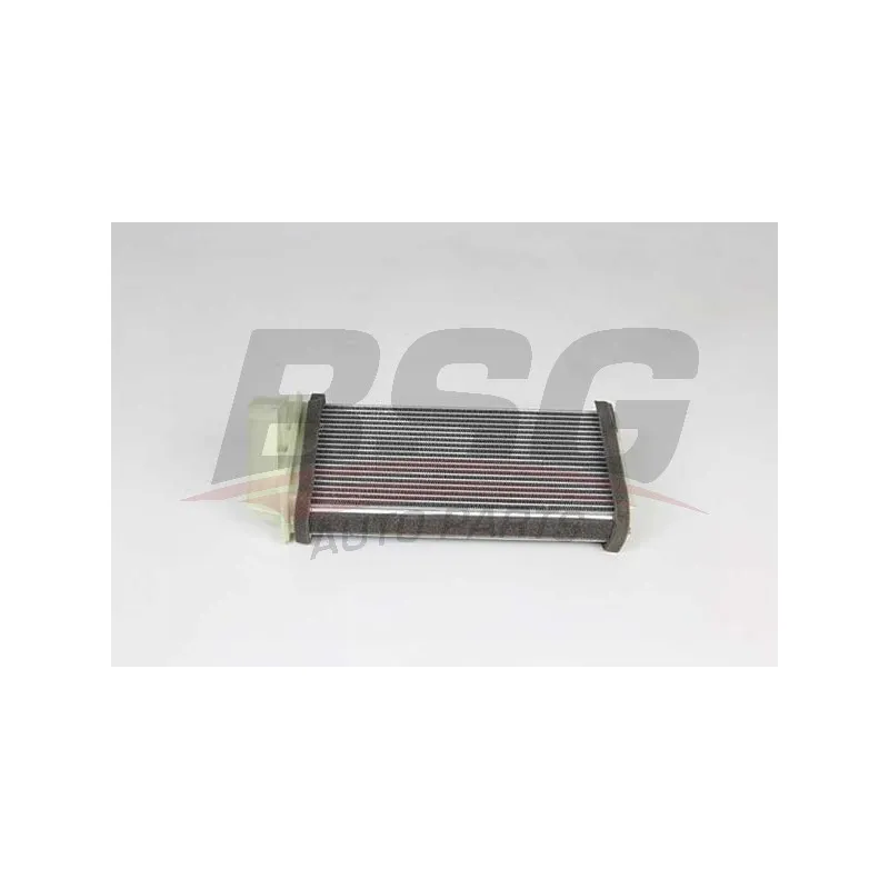 Système de chauffage BSG BSG 25-530-003