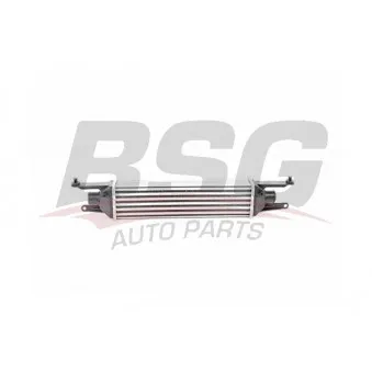 Intercooler, échangeur BSG BSG 25-535-009