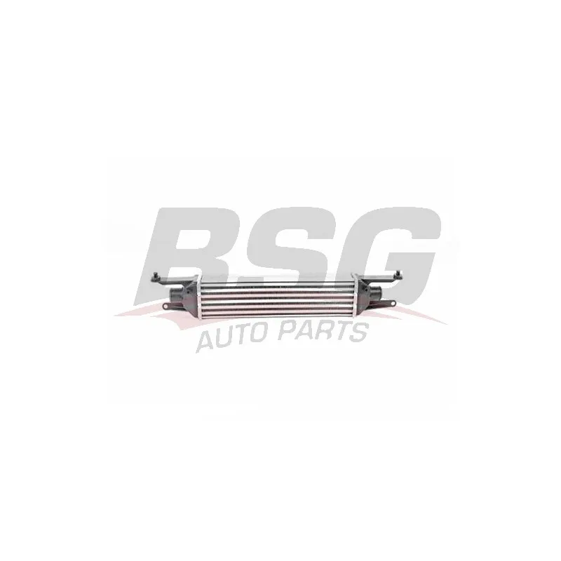 Intercooler, échangeur BSG BSG 25-535-009