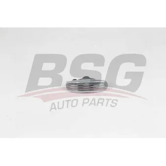 Feu clignotant BSG