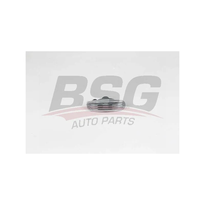Feu clignotant BSG BSG 25-810-001