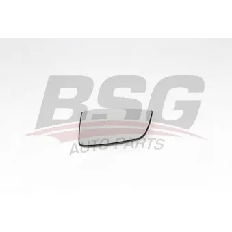 Verre de rétroviseur, rétroviseur extérieur BSG BSG 25-910-006