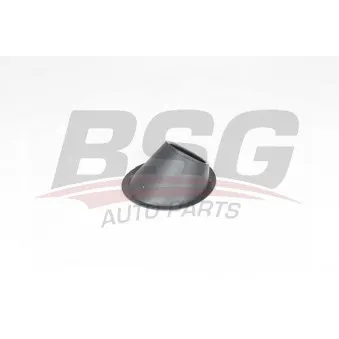 Cadre, projecteur antibrouillard BSG BSG 25-921-001
