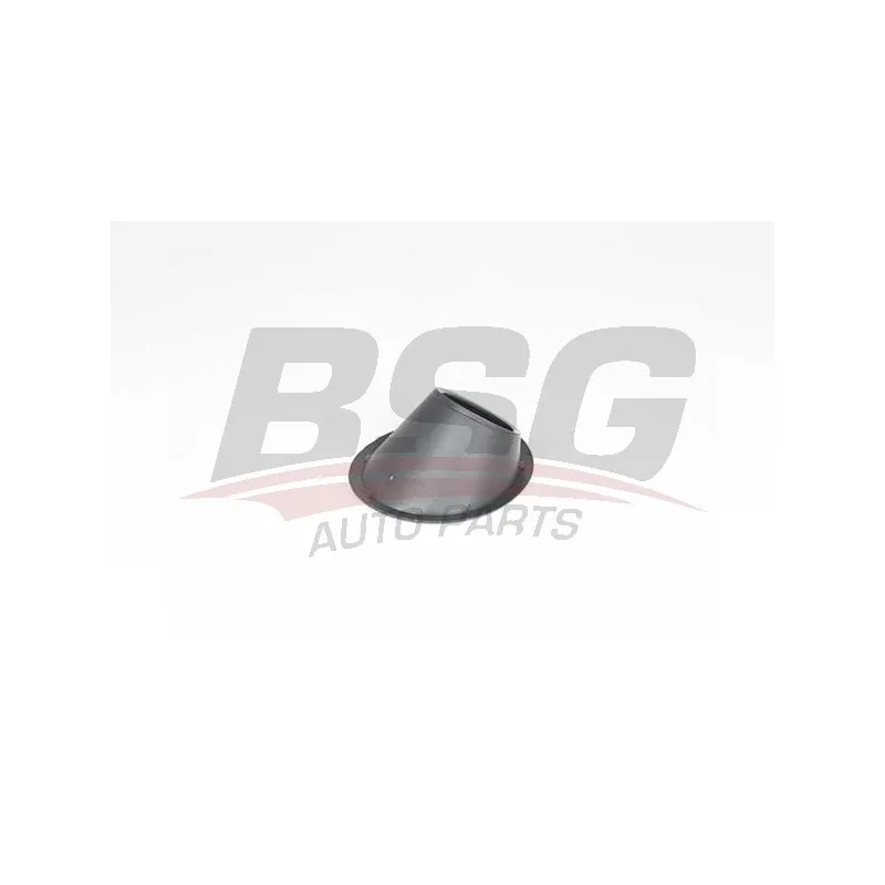 Cadre, projecteur antibrouillard BSG BSG 25-921-001