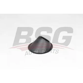 Cadre, projecteur antibrouillard BSG BSG 25-921-002
