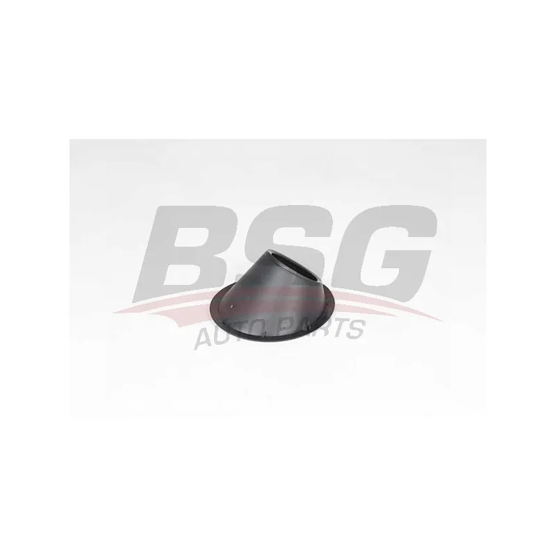 Cadre, projecteur antibrouillard BSG BSG 25-921-002