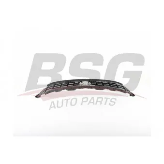 Grille de radiateur BSG BSG 25-927-001