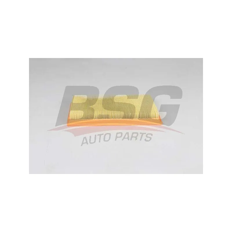 Filtre à air BSG BSG 30-135-035