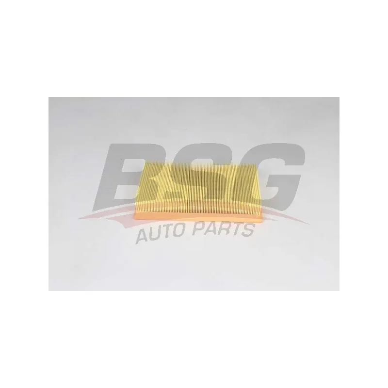 Filtre à air BSG BSG 30-135-037