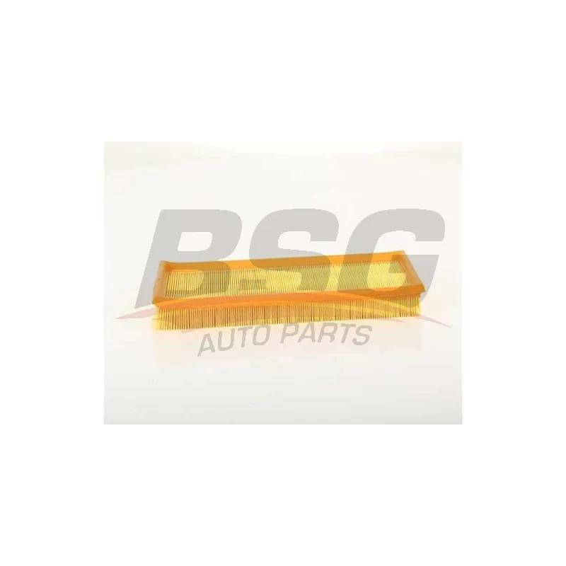 Filtre à air BSG BSG 30-135-042
