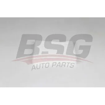 Filtre, air de l'habitacle BSG BSG 30-145-025