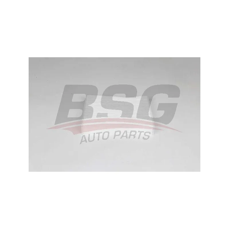 Filtre, air de l'habitacle BSG BSG 30-145-025