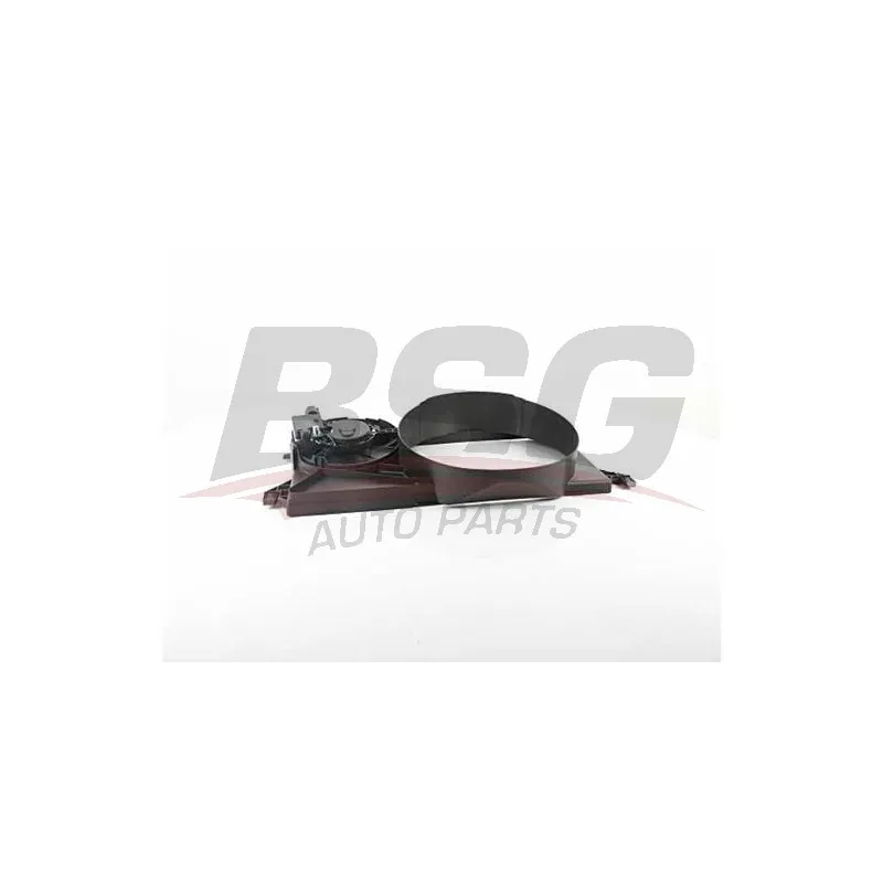 Ventilateur, refroidissement du moteur BSG BSG 30-510-012