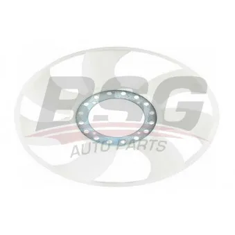 Embrayage, ventilateur de radiateur BSG BSG 30-515-007