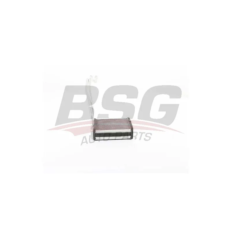 Système de chauffage BSG BSG 30-530-005