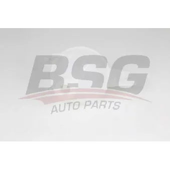 Vase d'expansion, liquide de refroidissement BSG BSG 30-551-007