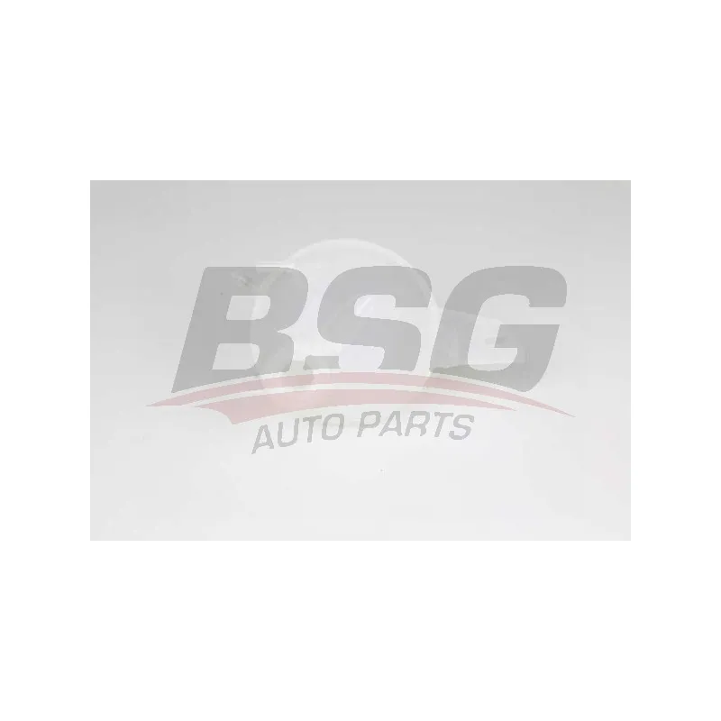 Vase d'expansion, liquide de refroidissement BSG BSG 30-551-007