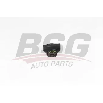 Bouchon, goulotte de remplissage d'huile BSG BSG 30-700-502