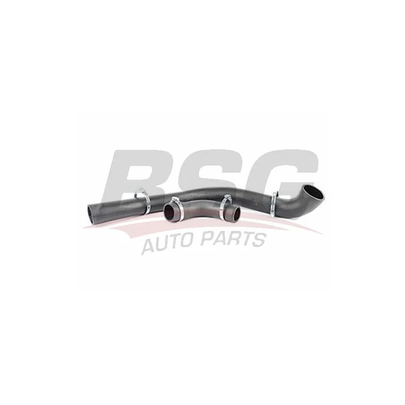 Gaine de suralimentation BSG BSG 30-720-191