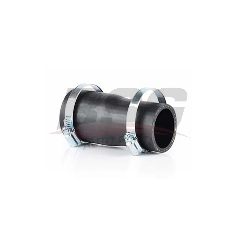 Gaine de suralimentation BSG BSG 30-720-193