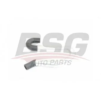 Durite de radiateur BSG BSG 30-720-232