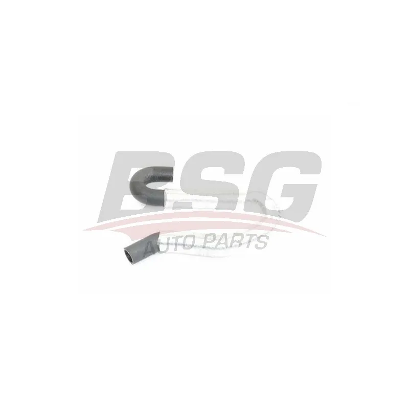 Durite de radiateur BSG BSG 30-720-232