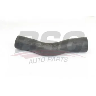 Gaine de suralimentation BSG BSG 30-720-242