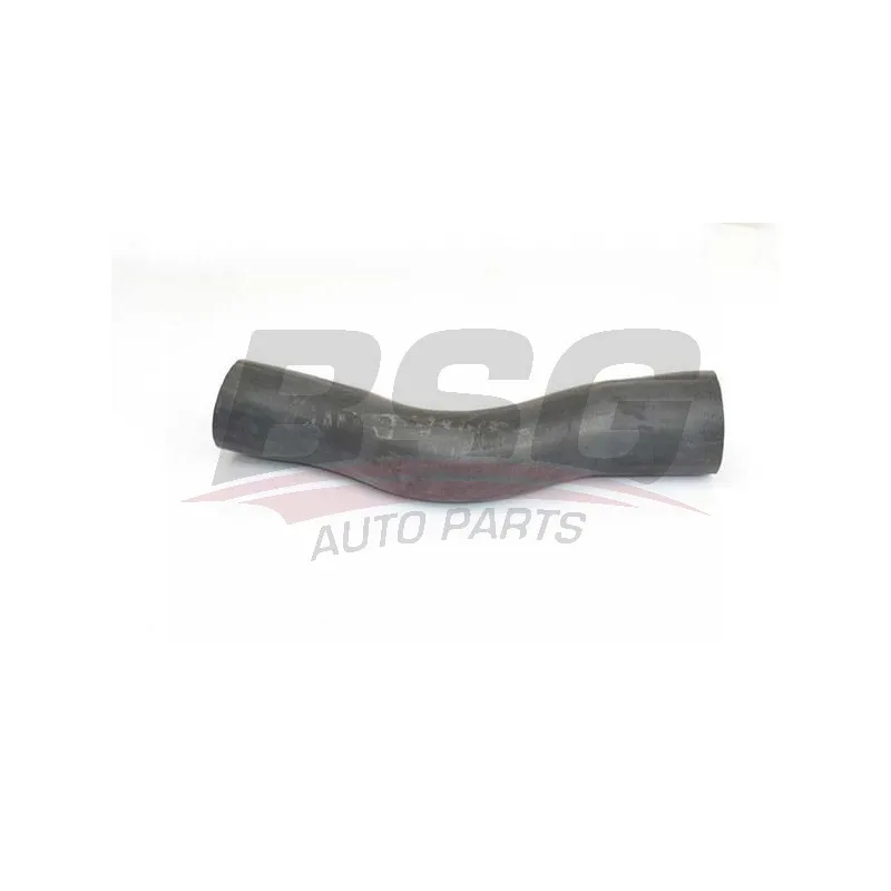 Gaine de suralimentation BSG BSG 30-720-242
