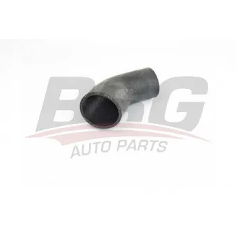 Gaine de suralimentation BSG BSG 30-720-243