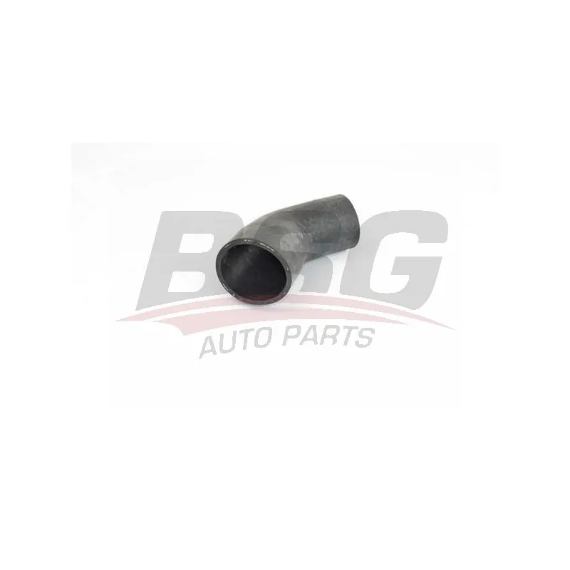 Gaine de suralimentation BSG BSG 30-720-243
