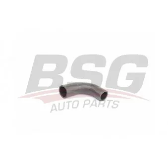 Gaine de suralimentation BSG BSG 30-720-244