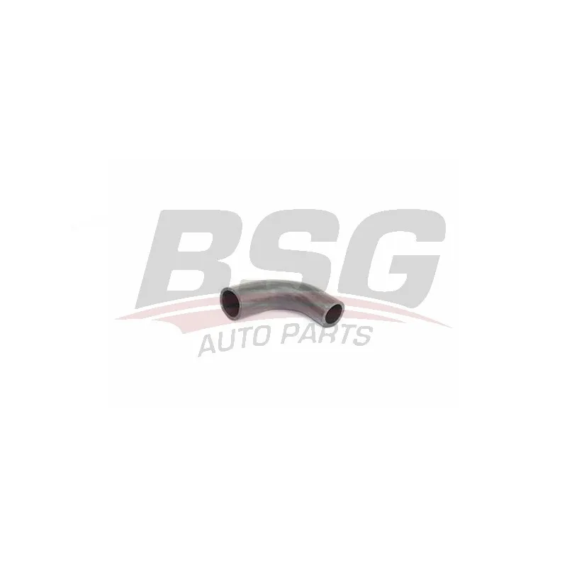 Gaine de suralimentation BSG BSG 30-720-244