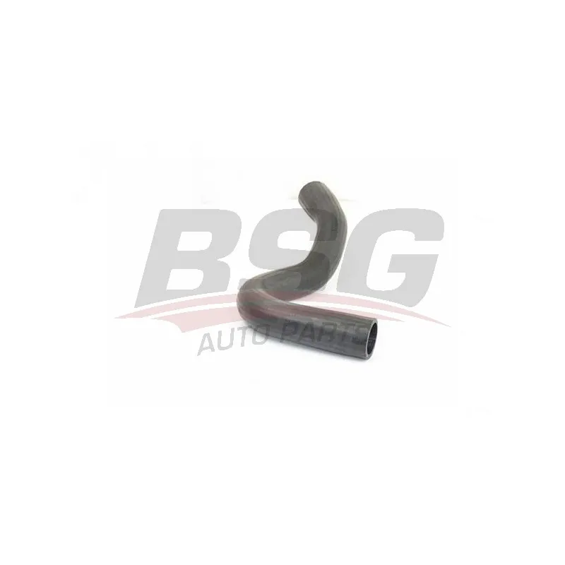 Gaine de suralimentation BSG BSG 30-720-245