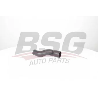Gaine de suralimentation BSG BSG 30-720-247