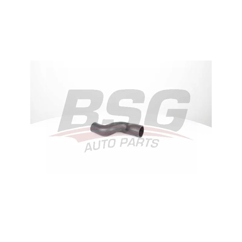 Gaine de suralimentation BSG BSG 30-720-247