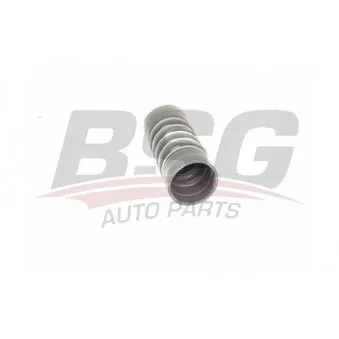 Gaine de suralimentation BSG BSG 30-720-248