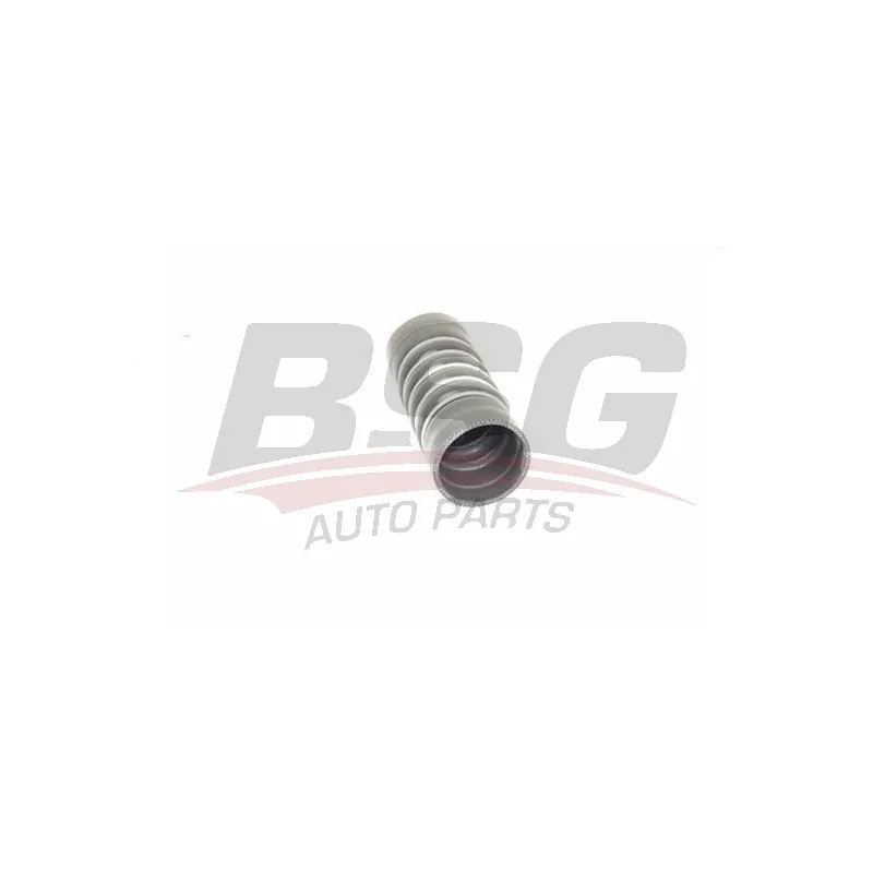 Gaine de suralimentation BSG BSG 30-720-248