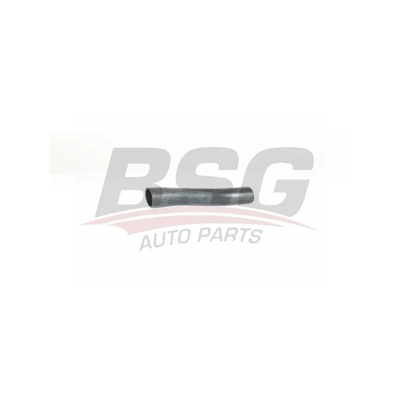 Goulotte de remplissage, réservoir de carburant BSG BSG 30-720-252